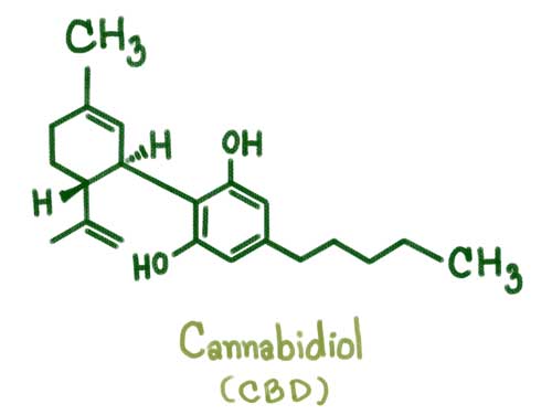 CBD derived from Hemp is legal – and it’s going to change your dog’s life!