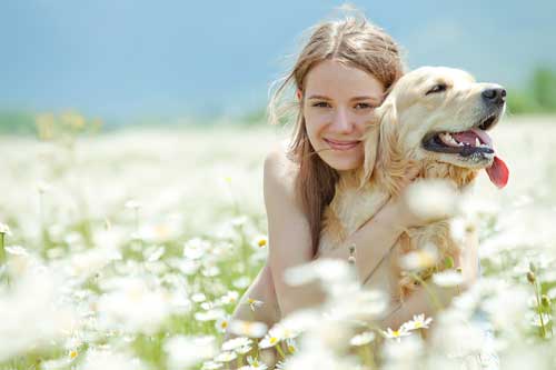 Types Of Canine Allergies