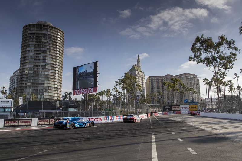 Shop CBD For Dogs And Cats In Long Beach Grand Prix