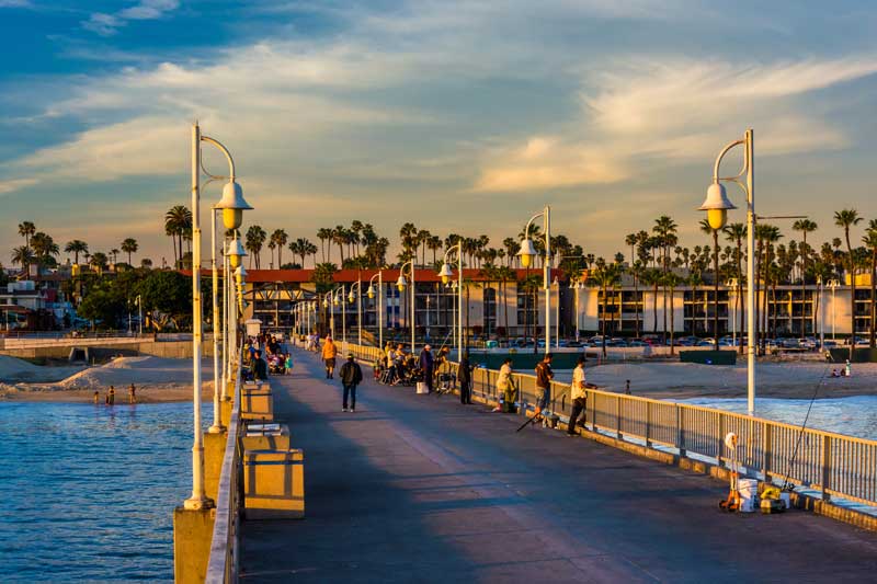 Shop CBD For Dogs And Cats In Long Beach Pier