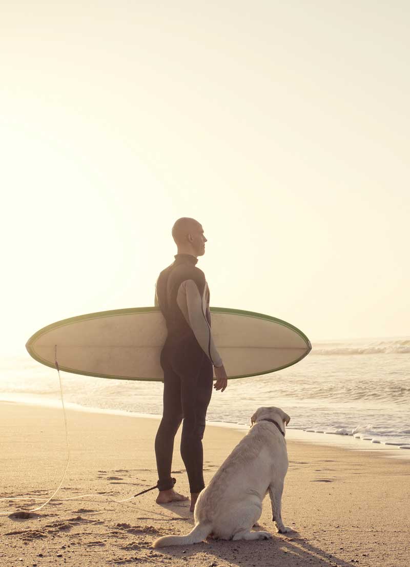 Shop CBD For Dogs And Cats In San Diego Surfing