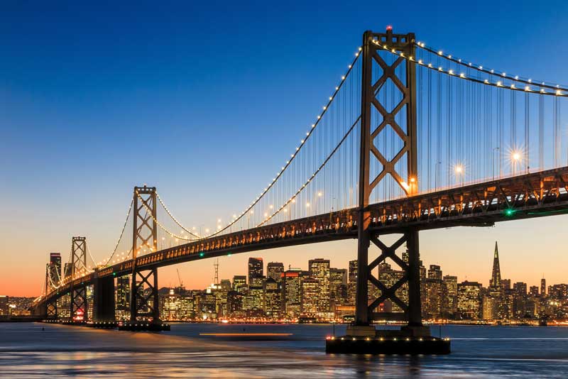 Shop CBD For Dogs And Cats In San Francisco Bay Bridge