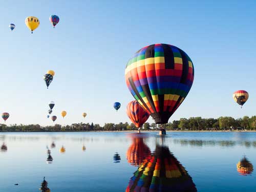 Shop CBD For Dogs And Cats In Colorado Springs Hot Air Balloon Races
