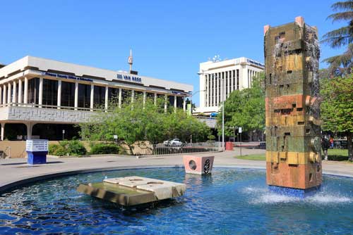 Shop CBD For Dogs And Cats In Fresno Central Park Fountain