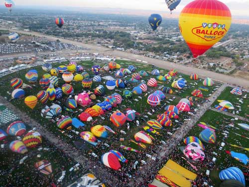 Shop CBD For Dogs And Cats In Albuquerque Balloon Festival