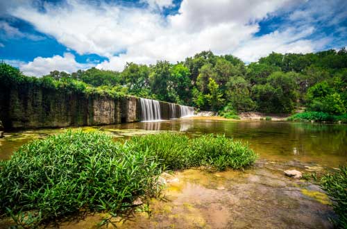 Shop CBD For Dogs And Cats In Austin Park Waterfall