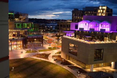 Shop CBD For Dogs And Cats Boise Downtown At Night