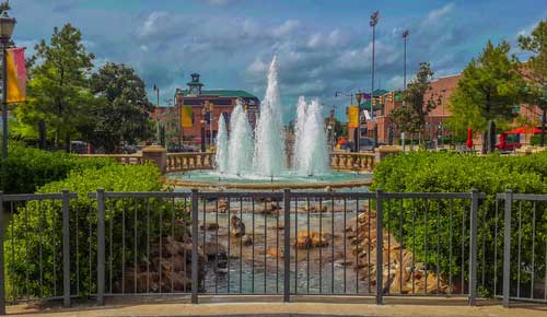 Shop CBD For Dogs And Cats Oklahoma City Fountain