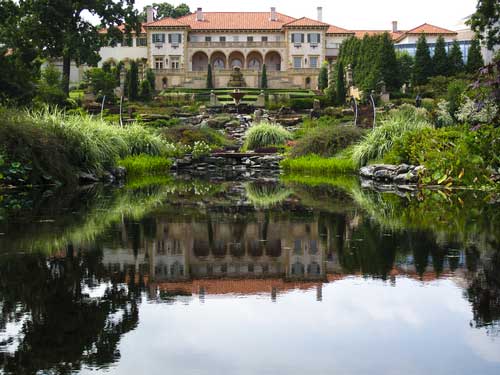 Shop CBD For Dogs And Cats Tulsa Philbrook Museum