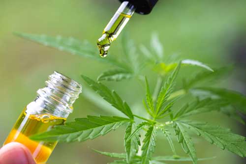 How CBD can help with other illnesses