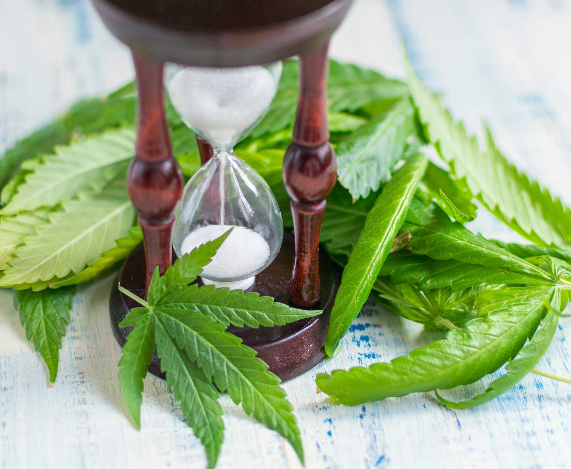 How Long Does CBD Oil Last in Your System?