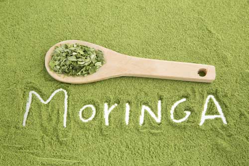 Moringa for Less