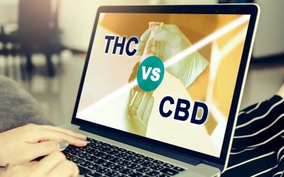 CBD VS THC: What You Need To Know