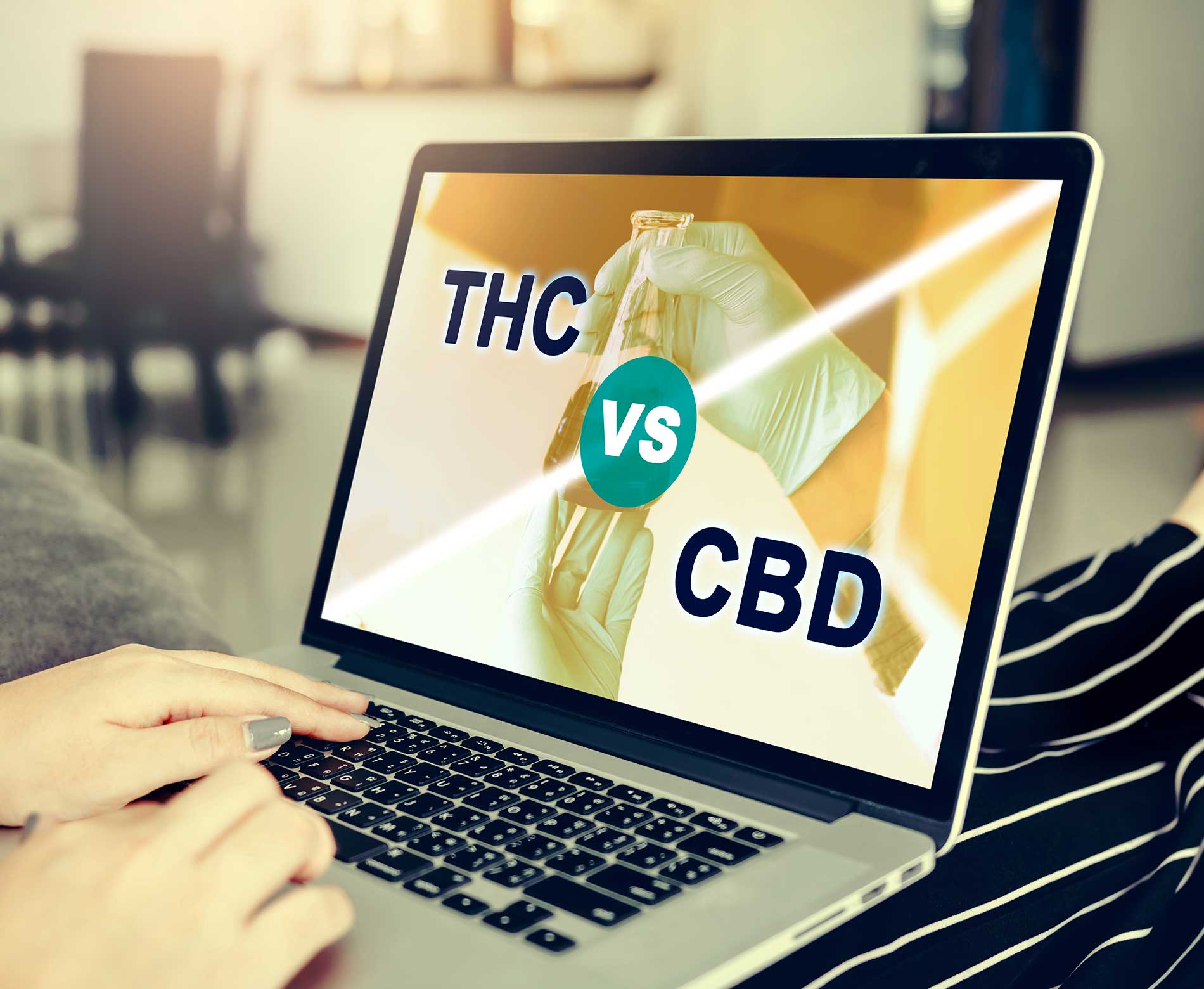 cbd vs thc what you need to know