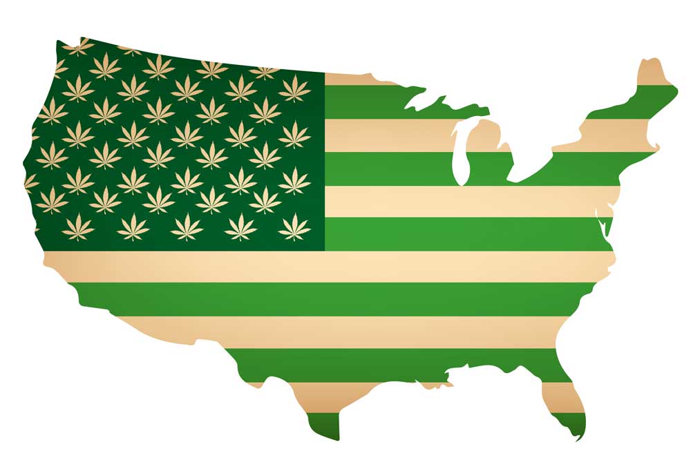 Hemp America: The Rise Of CBD