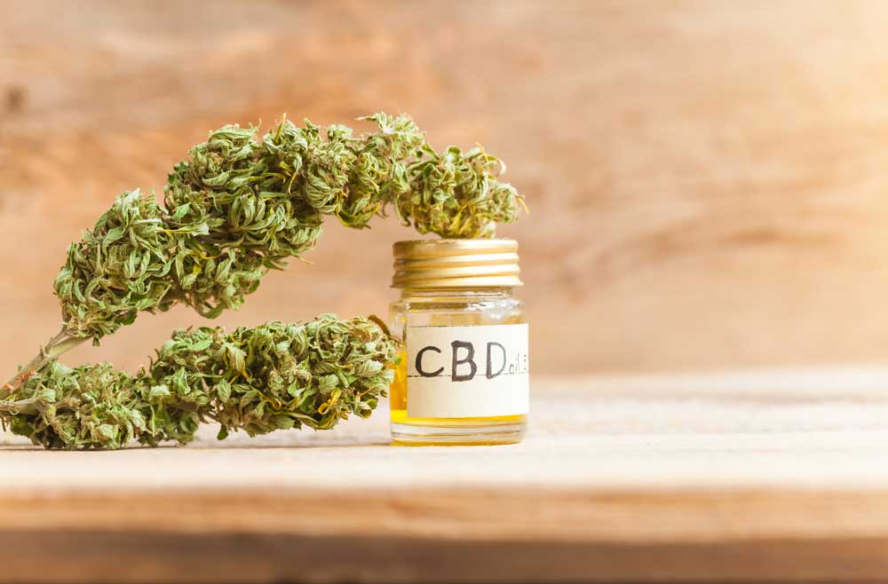 Fighting the Good Fight: How CBD Helps You Fight the Impacts of Aging