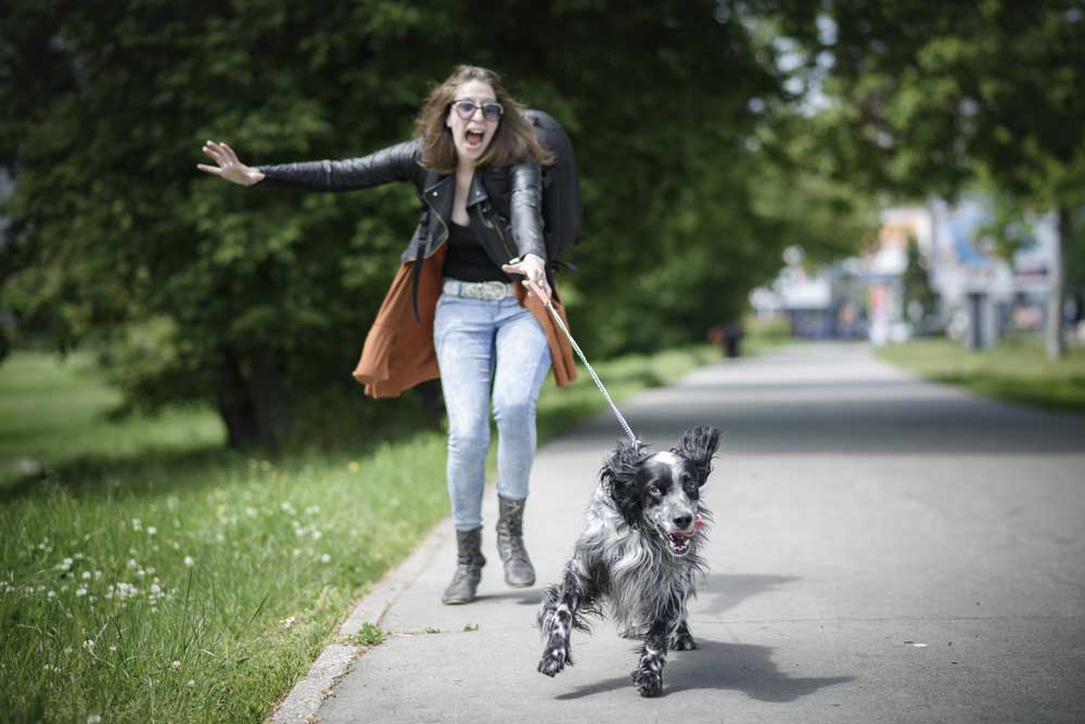 How to Teach a Dog Loose Leash Walking