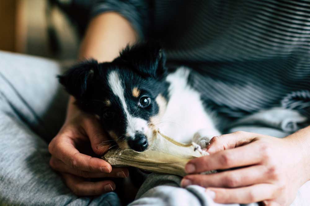 Things to Keep an Eye on During Teething