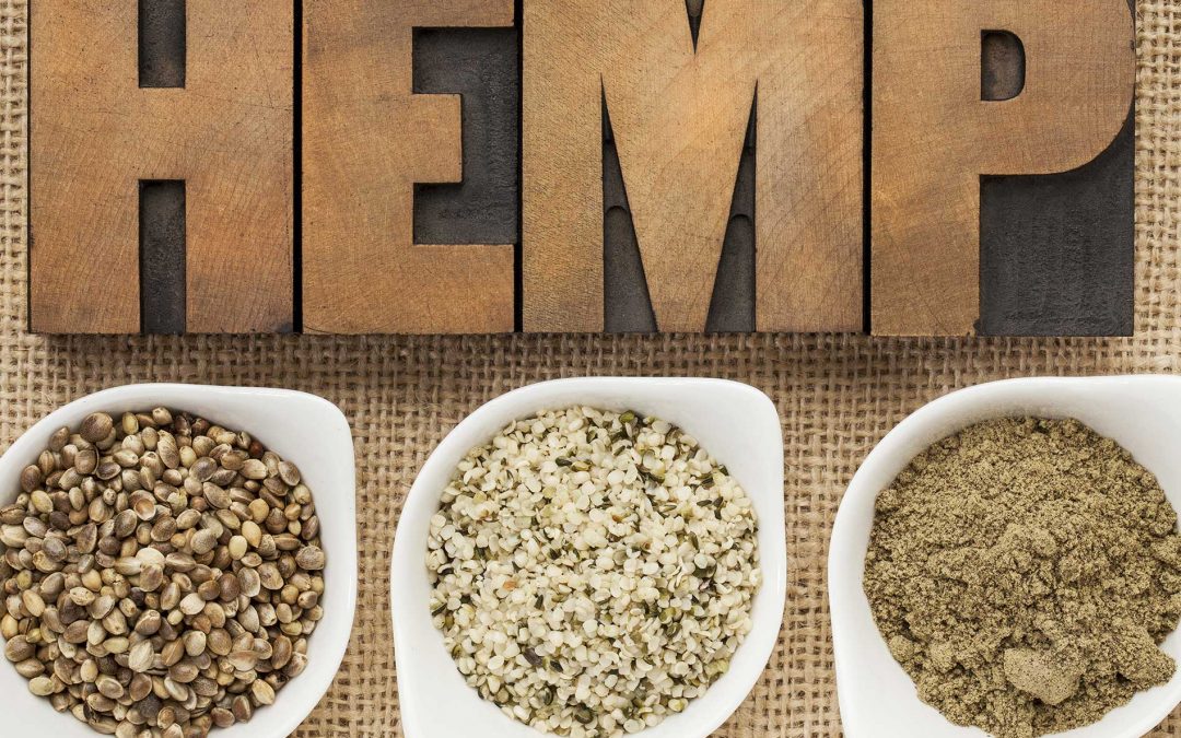 Hemp Seed Health Benefits and Uses