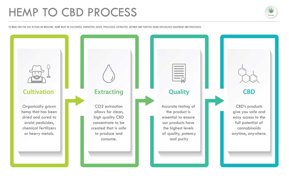 The Difference Between Hemp Seed Oil and CBD Oil