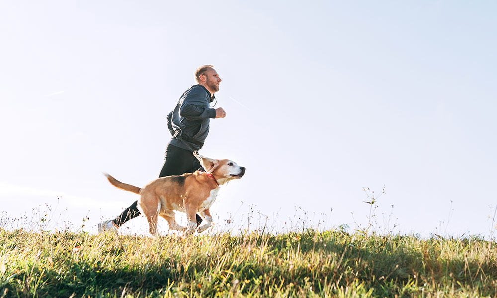 How Much Exercise Do Dogs Need and Why?