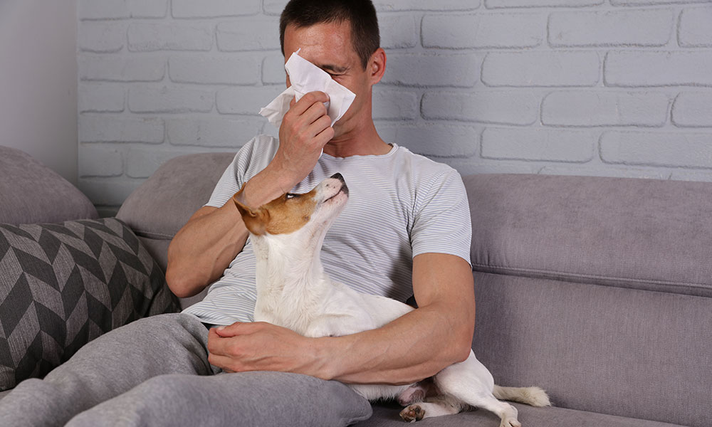 What are Pet Allergies?