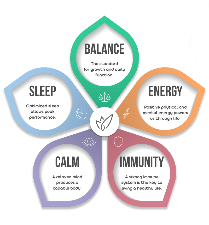 Verlota 5 Elements