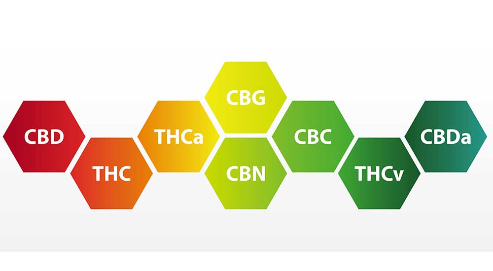 Cannabinoids And Their Effects