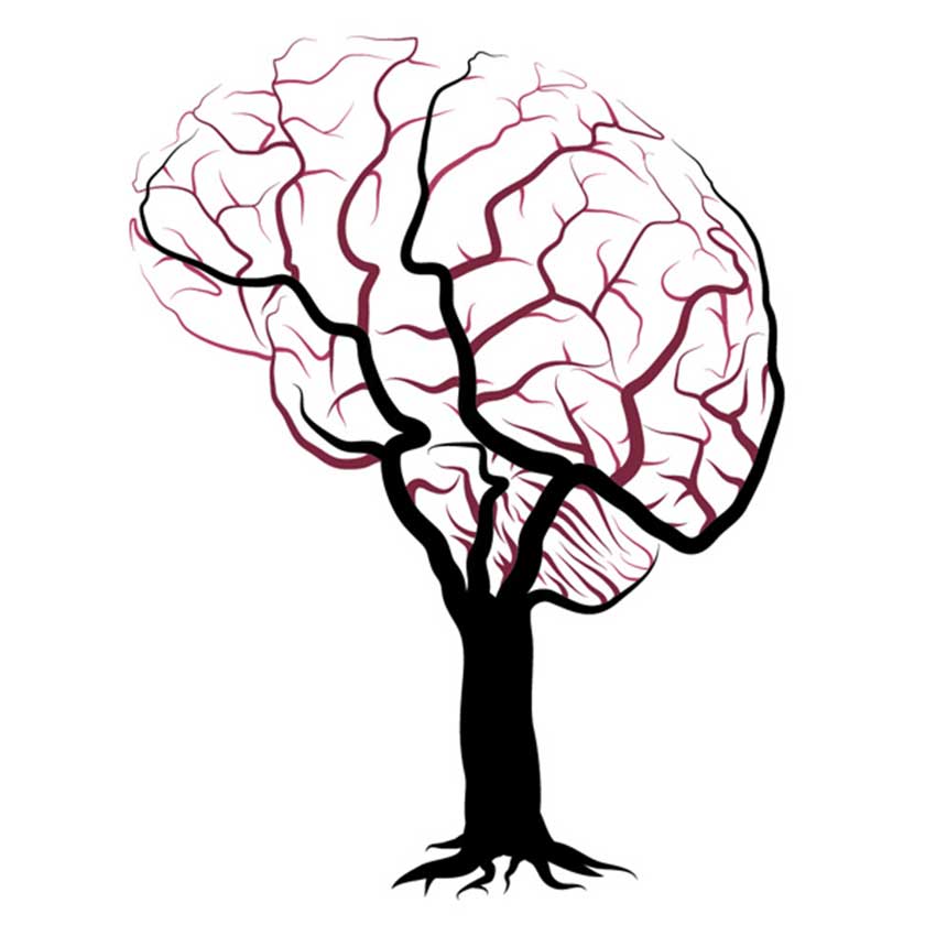 Cannabinoids And-Your ECS