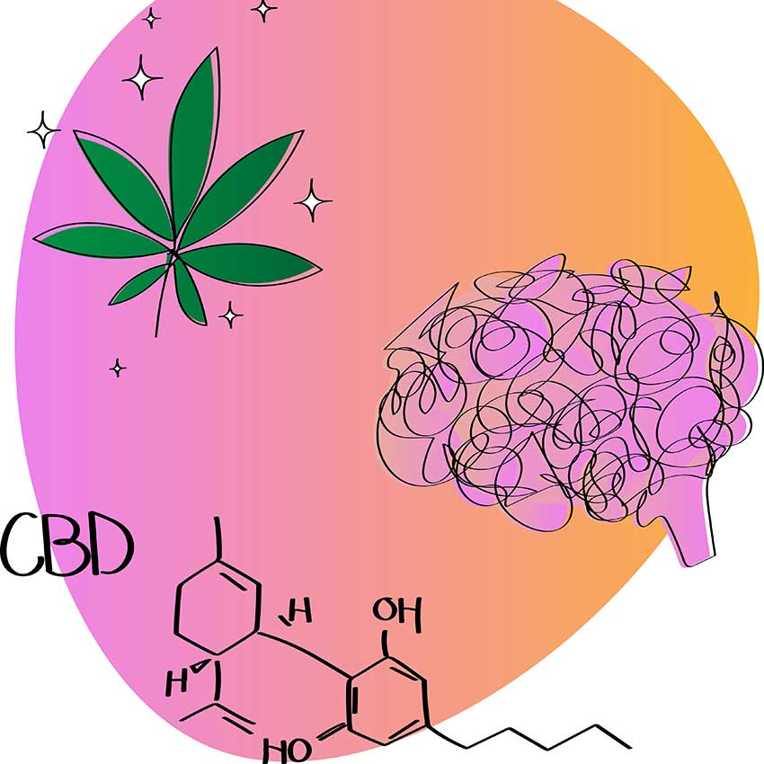 How Does CBD Make You Feel?