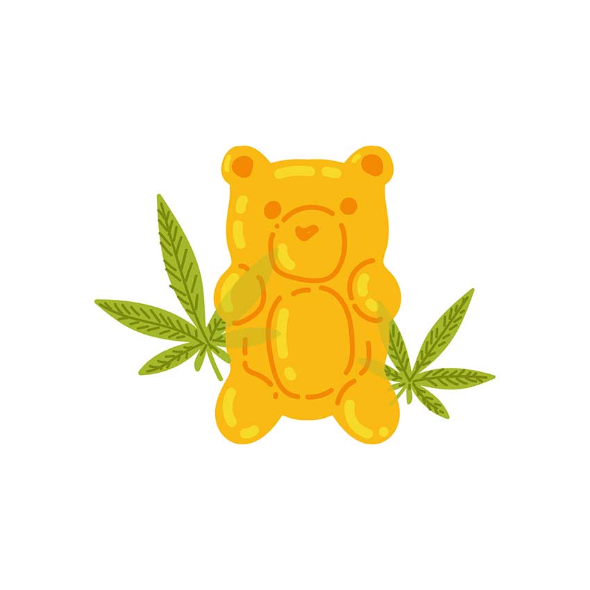 Your Favorite CBD Gummies