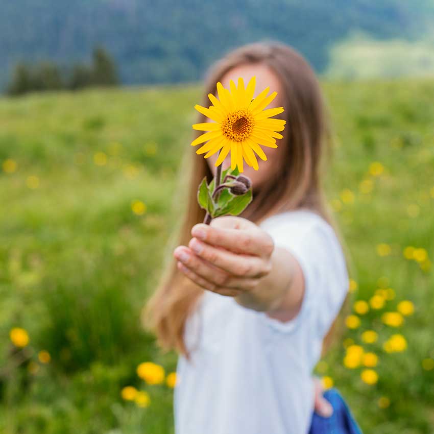 What is Arnica Montana Flower Extract?