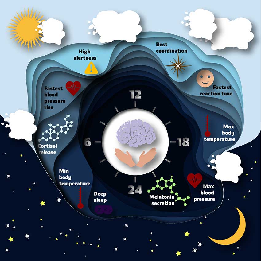 Verlota Your Circadian Rhythm And How Melatonin Can Make Or Break It