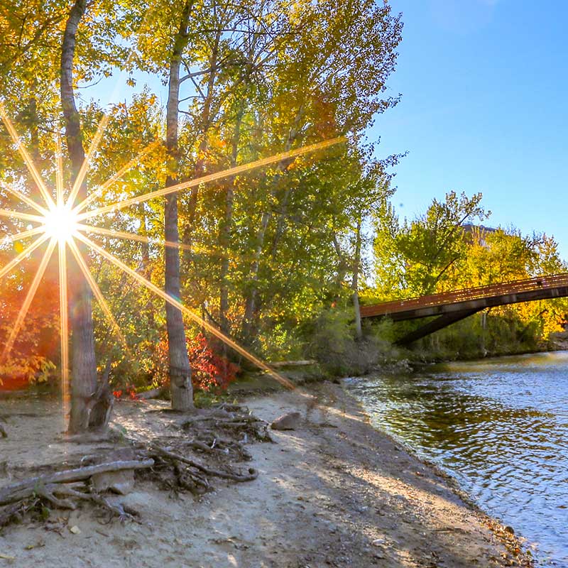 Buy CBD Boise River Bridge