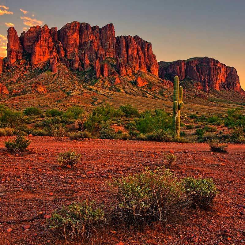 Buy CBD Phoenix Arizona Desert