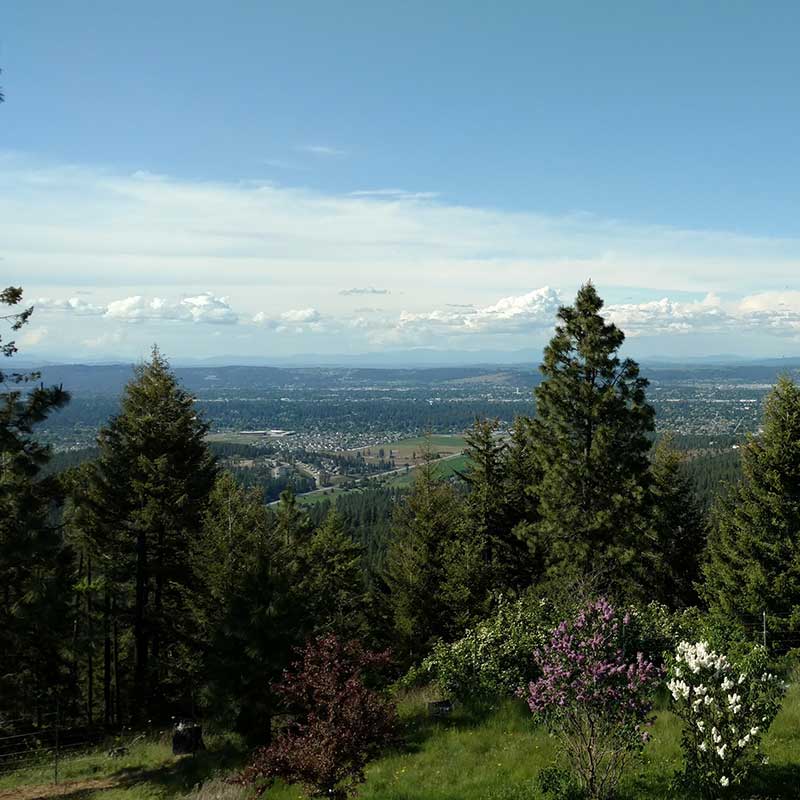 Buy CBD Spokane Washington Mountains