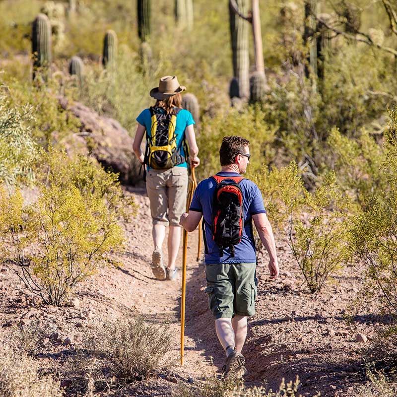 Buy CBD Tucson Hiking