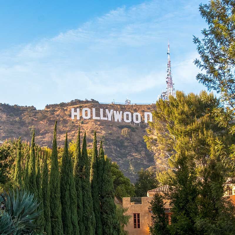 Buy CBD Los Angeles Hollywood