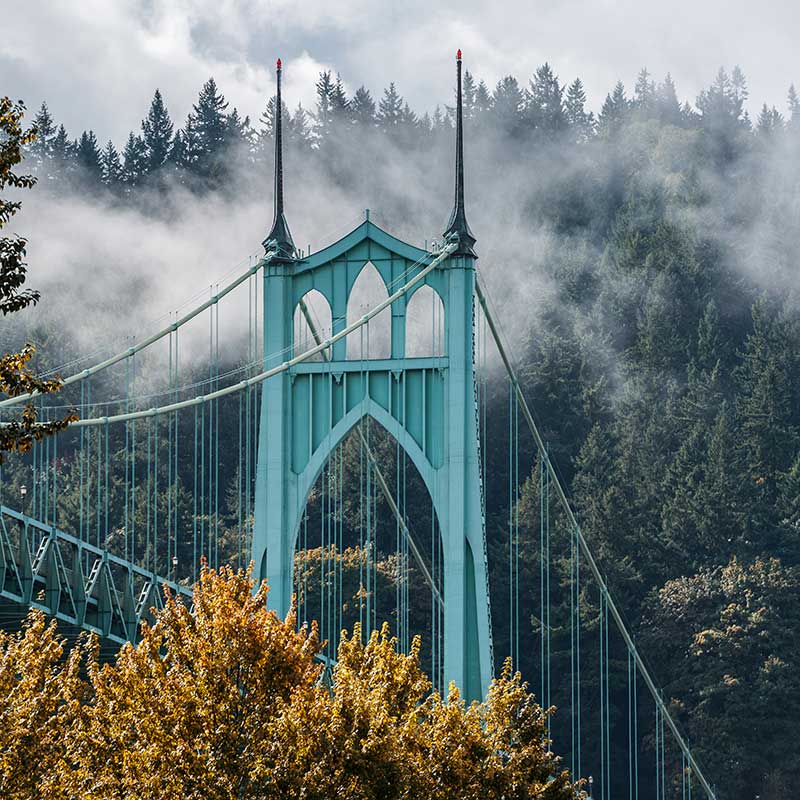 Buy CBD Portland Oregon Bridge