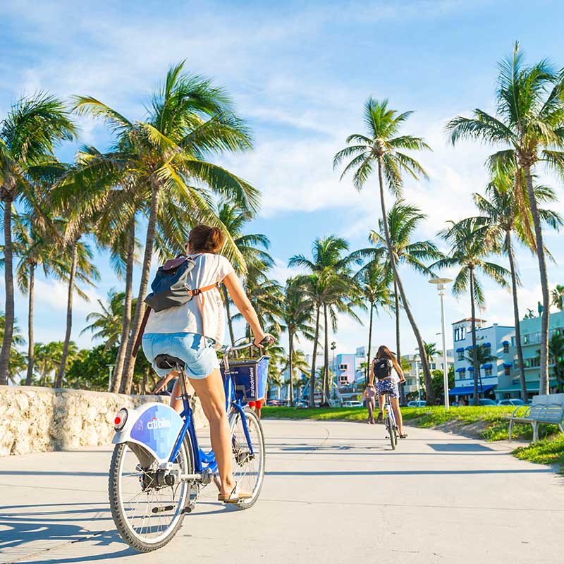 Buy CBD Miami Bikes