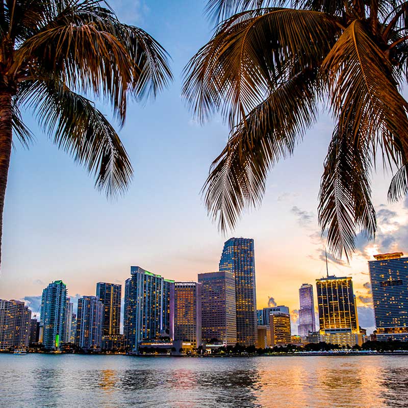 Buy CBD Miami Downtown