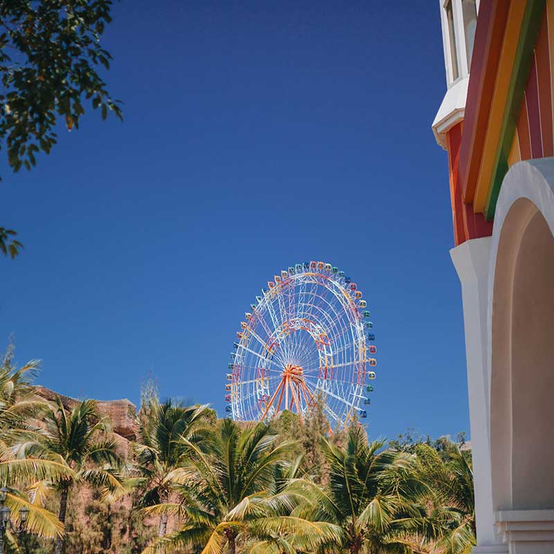 Buy CBD Anaheim Ferris Wheel