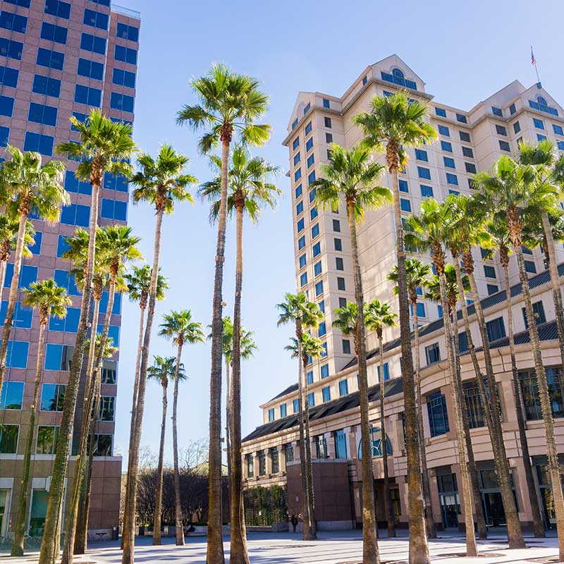 Buy CBD San Jose Downtown