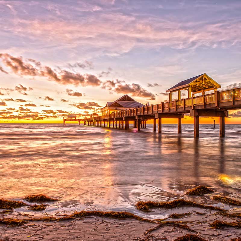 Buy CBD Tampa Florida Pier