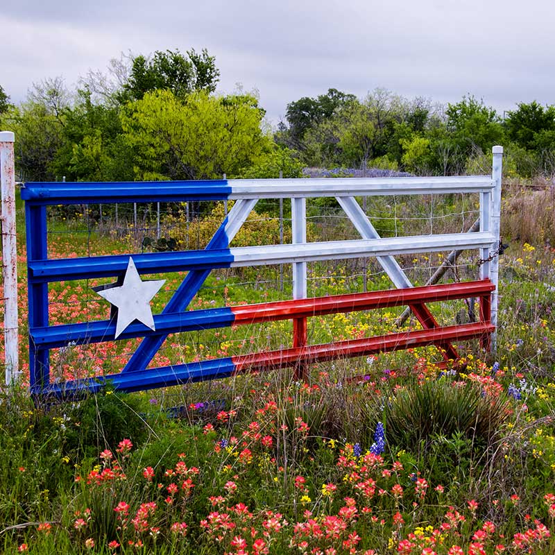 Buy CBD In Texas Farm Gate