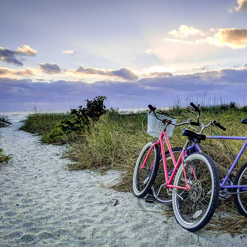 Buy CBD Florida Beach Bikes