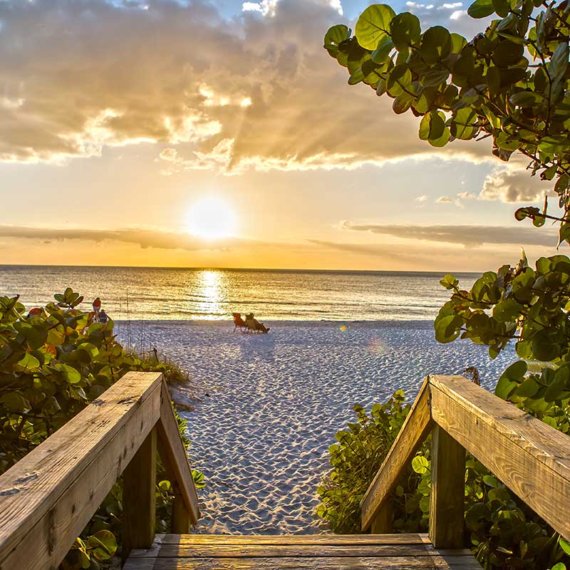 Buy CBD Florida Beach Walkway